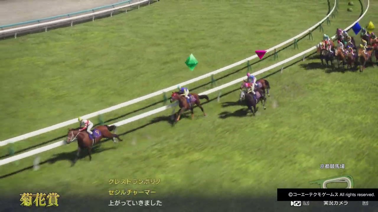 GI菊花賞 マルセイチフラダ