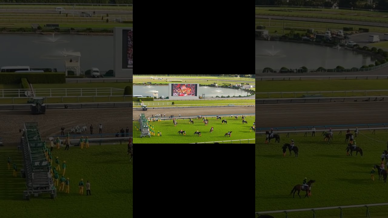 秋華賞ファンファーレ 三冠馬誕生レース前のドキドキワクワク♪ #競馬 #秋華賞2023 #リバティアイランド #京都競馬場