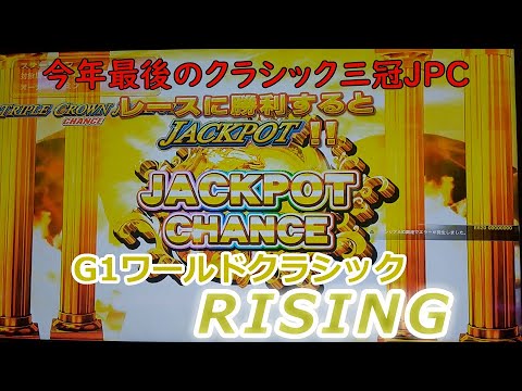 ２３９　メダルゲーム　G１ワールドクラシック　ライジング　RISING　番外編　【 クラシック三冠挑戦、菊花賞JPC 】　ユミ　メイン店舗