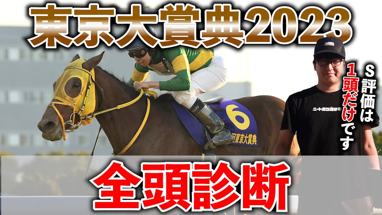 【東京大賞典 予想】穴馬から実力馬まで高期待値馬を紹介します