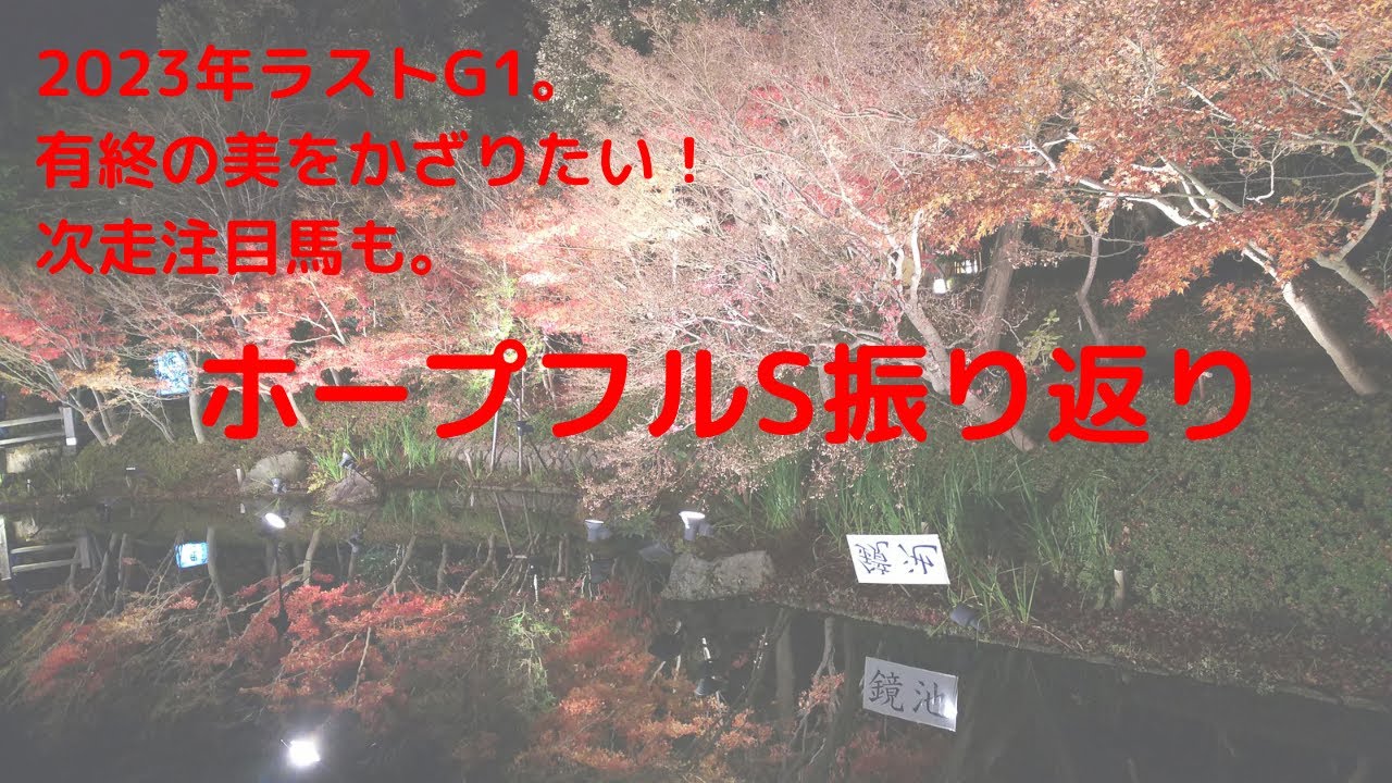 動画（ホープフルS） 振り返り