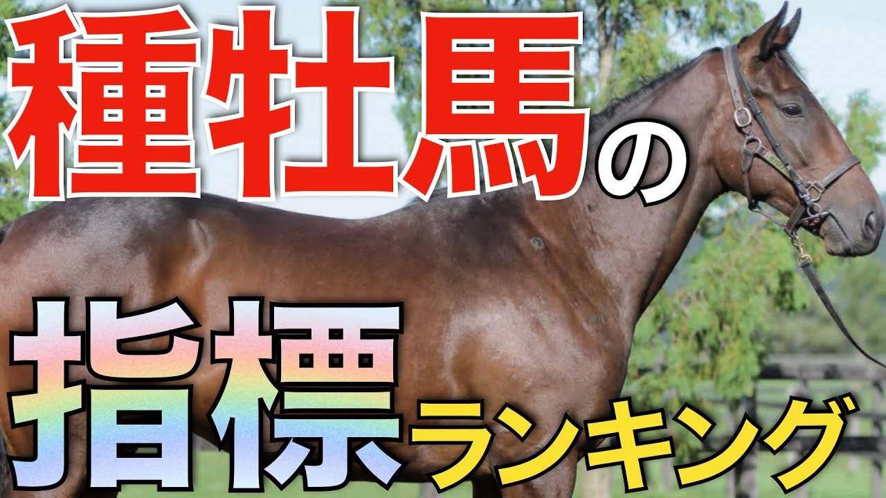 【AEI・CPI】2023年末版種牡馬指標ランキングを探る！もっと評価されるべき種牡馬は？