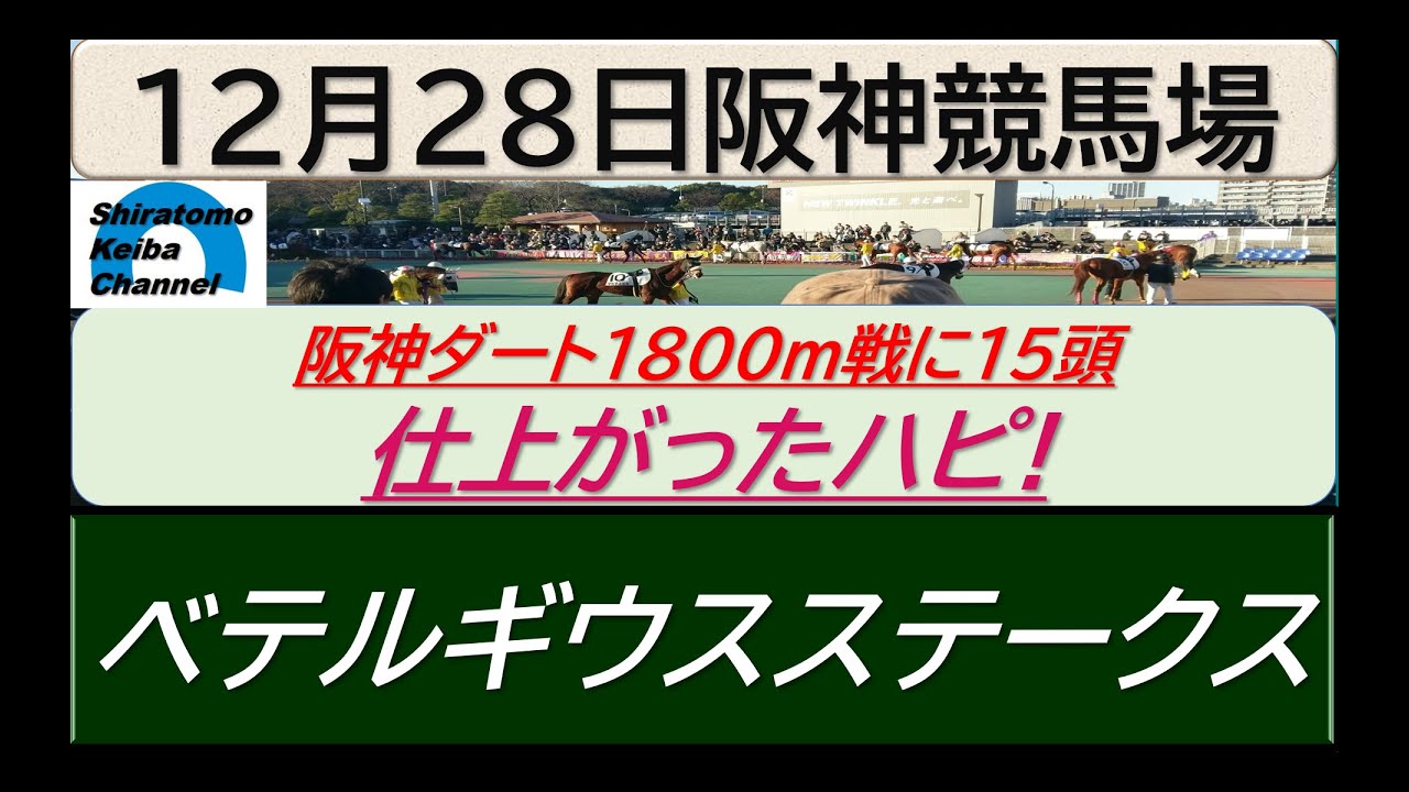 【競馬予想】ベテルギウスステークス～２０２３年１２月２８日 阪神競馬場 ：１２－３５