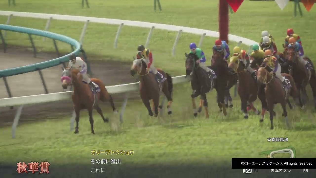 GI秋華賞 ナイトカトレア