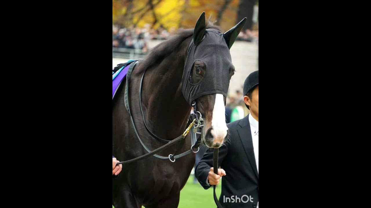 2023ジャパンC  現役最強馬イクイノックス引退レース