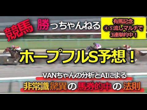 勝っちゃんねる　ホープフルS予想！