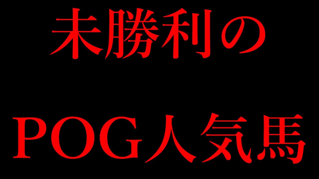 未勝利のPOG人気馬 クラシックに間に合う馬はいるのか！？【POG23-24】