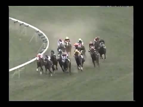 2000 ダービー卿チャレンジトロフィー フサイチエアデール