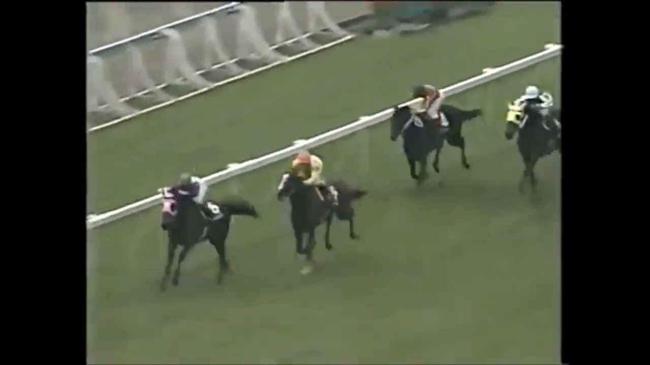 第41回　京都新聞杯（ＧⅡ）　ウイニングチケット　牡３　57　柴田政人　1993.10.17　　出走馬：マイヨジョンヌ、トーヨーリファール、 ロイヤルフェロー、ユウキダイオー、ステージチャンプ他