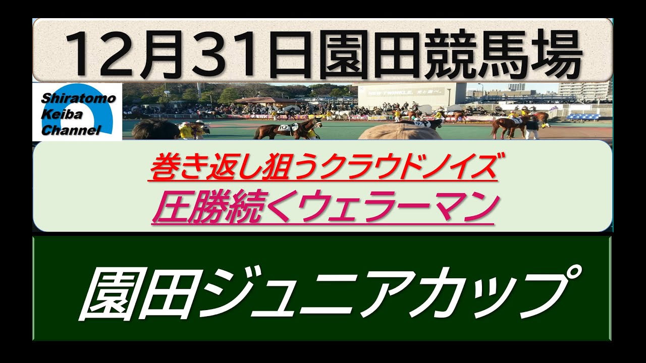 【競馬予想】重賞・園田ジュニアカップ～２０２３年１２月３１日 大井競馬場 ：１２－４１