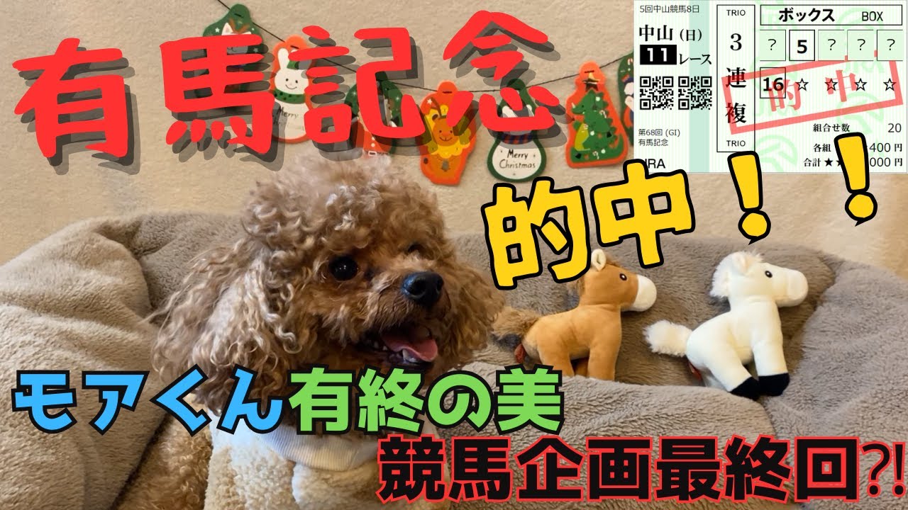 モアくん競馬企画第２５弾有馬記念編