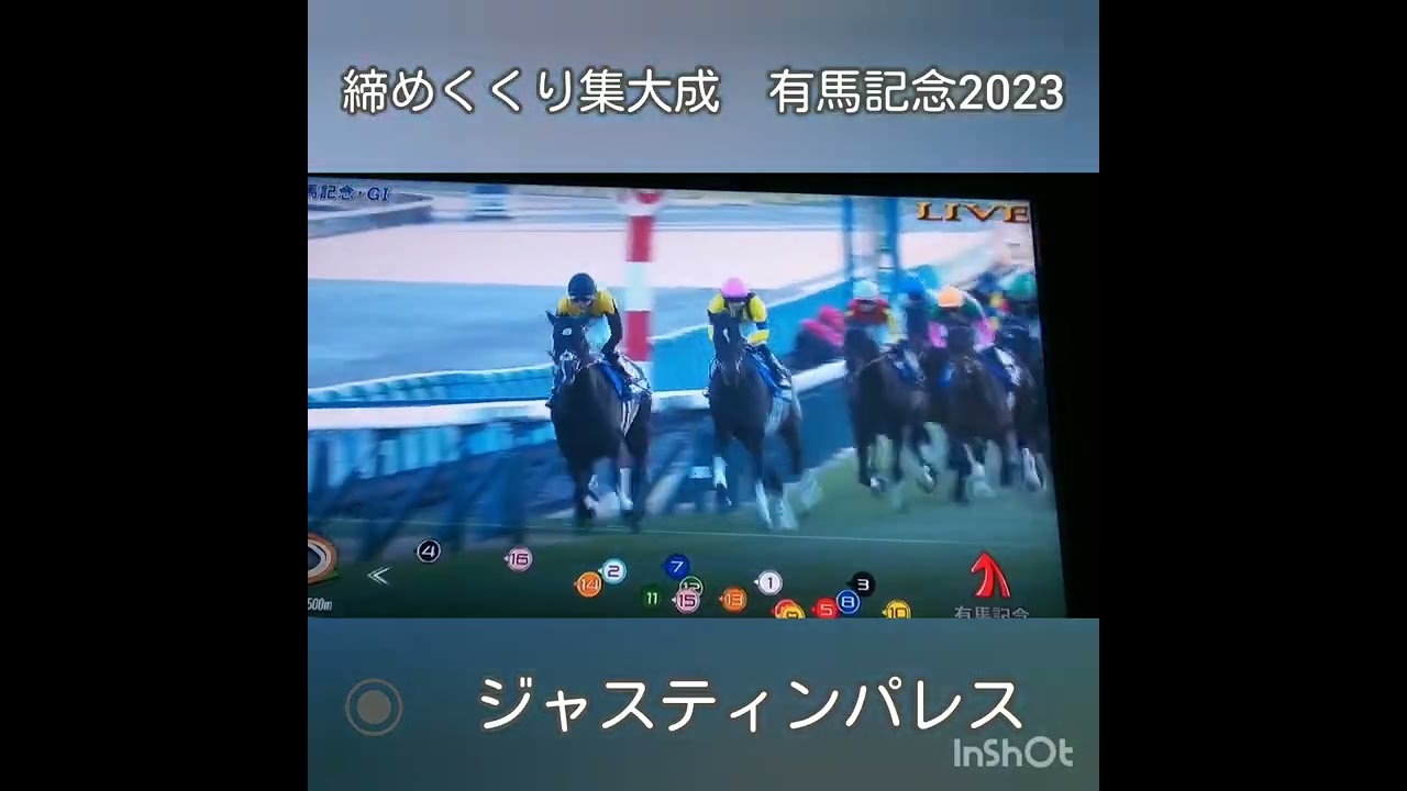 🔘2023今年の集大成　有馬記念　🔘　想いを込めて。。心中しました