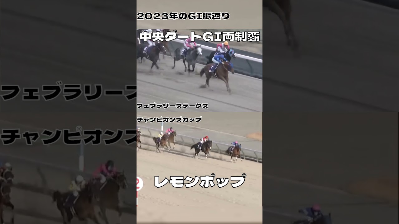 2023振返り 中央ダートG1両制覇 レモンポップ#shorts
