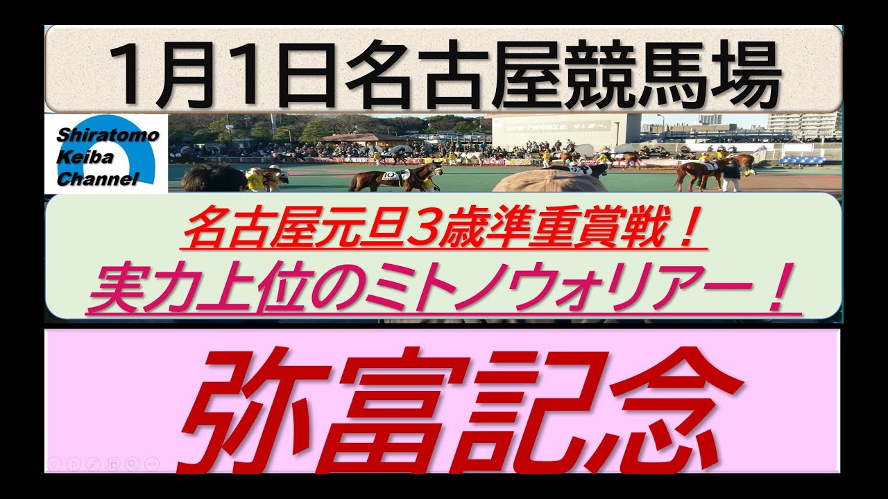 【競馬予想】準重賞・弥富記念～２０２４年１月１日 名古屋競馬場 ：１－２