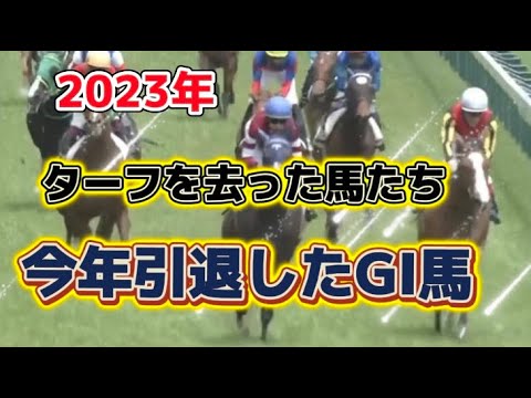2023年にターフを去ったGIホース
