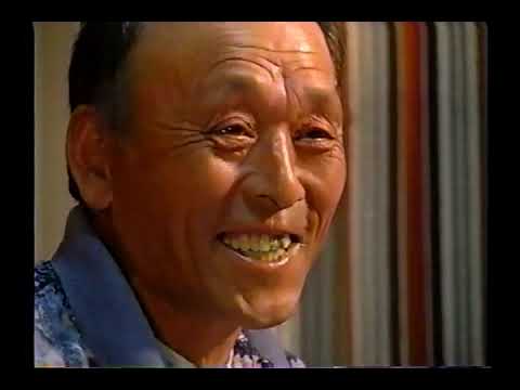 流星の如く シンザン