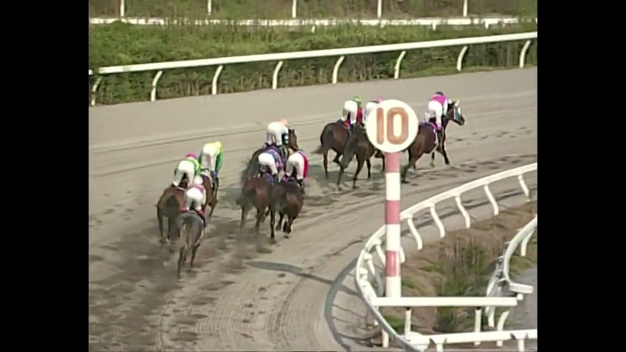 2008年9月7日　第12回黒潮菊花賞