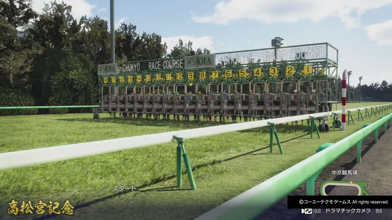 GI高松宮記念 マルセイプレイリー