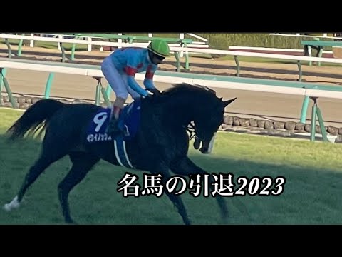 【競馬】ターフを去る名馬2023