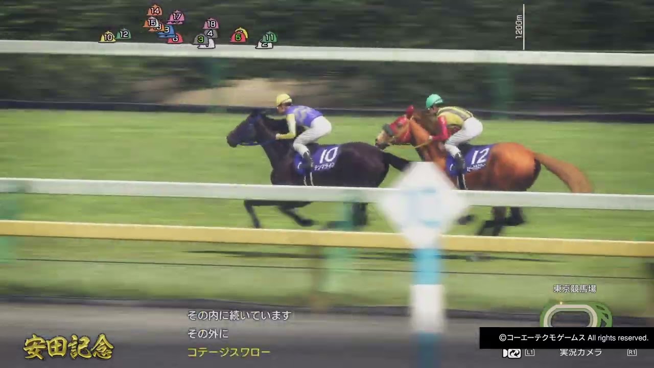 GI安田記念 マルセイアポリネア