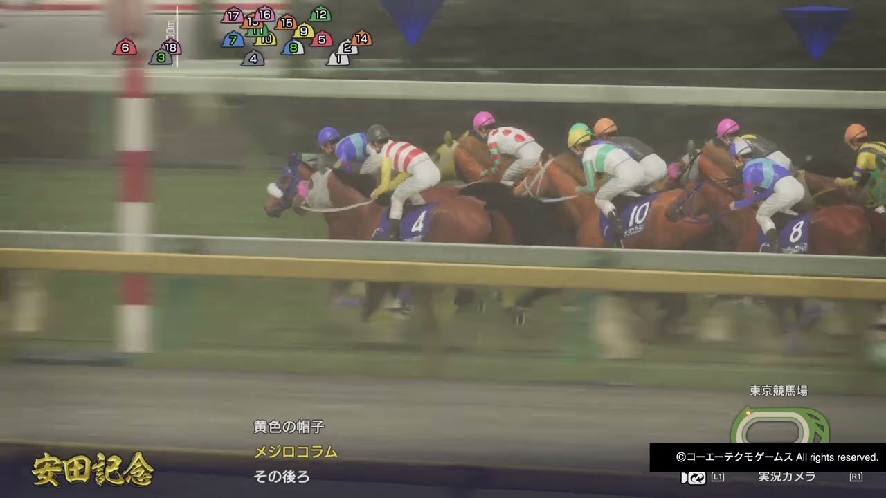 GI安田記念 マルセイプレイリー