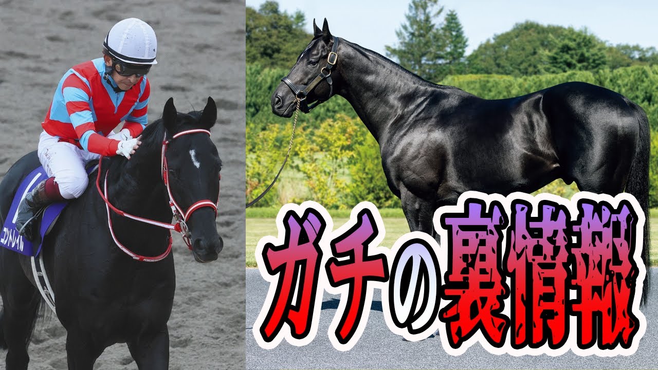 ガチの裏情報【誰も知らない】コントレイルの産駒は走る。しかし種牡馬しては○○