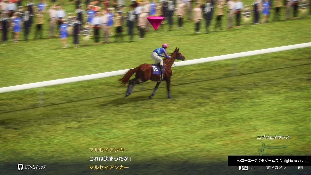 GI安田記念 マルセイプレイリー