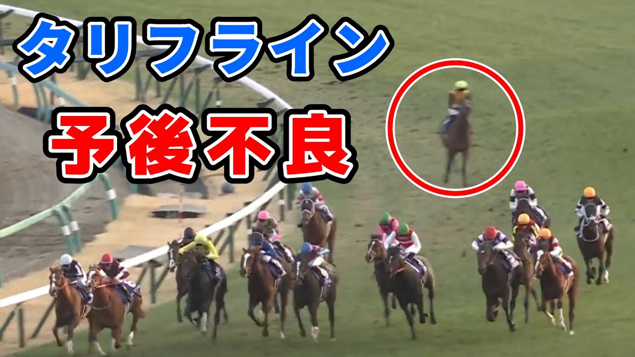 【ホープフルS】競走中止のタリフラインは予後不良