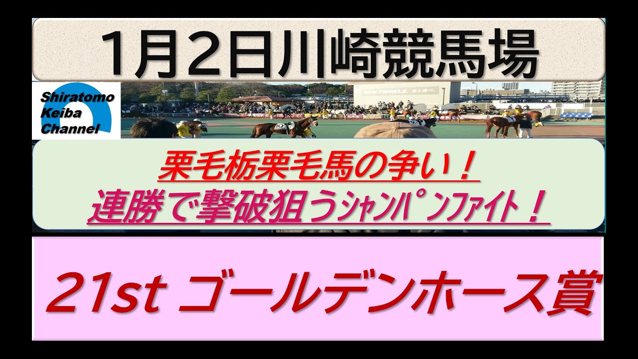 【競馬予想】21st ゴールデンホース賞～２０２４年１月２日 川崎競馬場 ：１－４