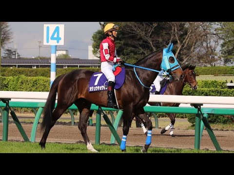 【現地映像】中山グランドジャンプ2022【オジュウチョウサン】