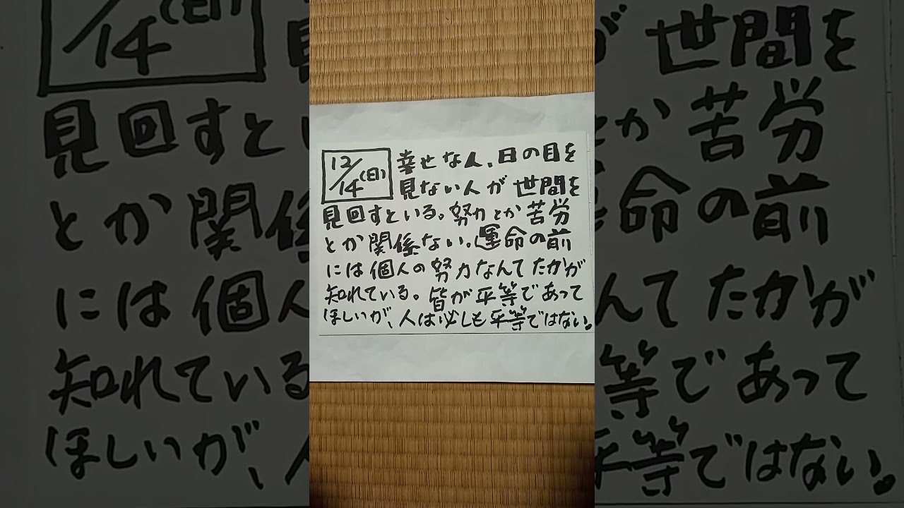 2023年12月24日