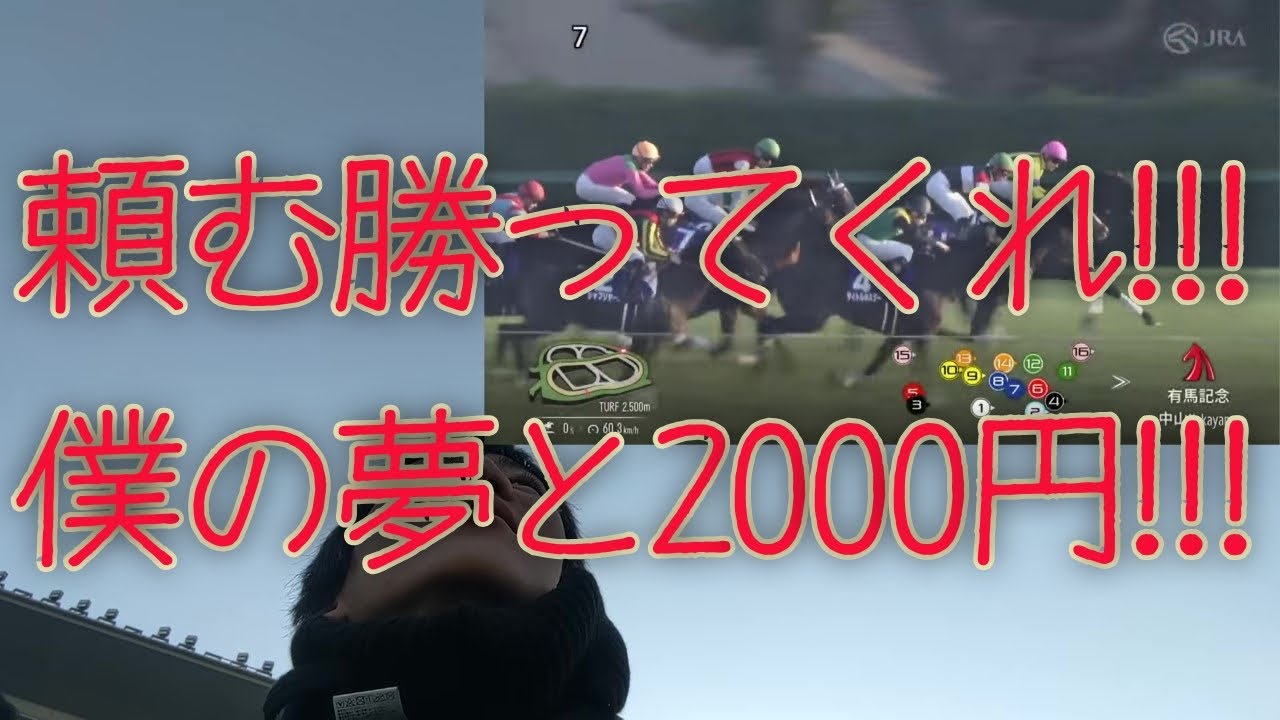 投げ銭代を稼ぐために有馬記念で大勝負！