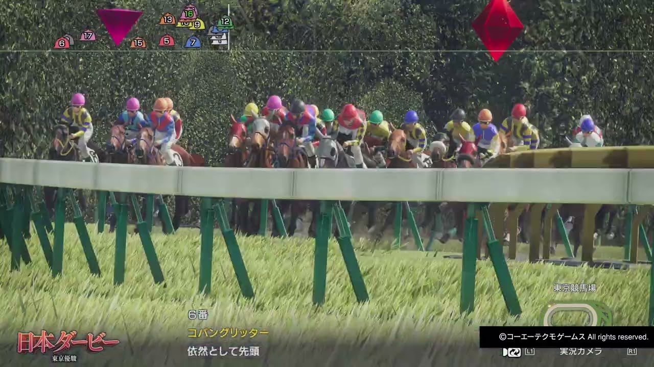 GI日本ダービー マルセイフチラダ