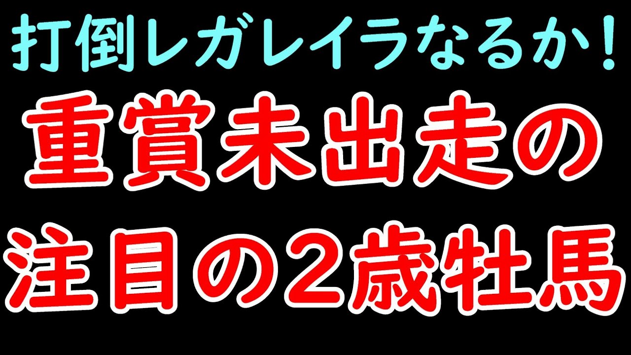 重賞未出走の注目2歳牡馬 皐月賞で打倒レガレイラなるか！？【POG23-24】