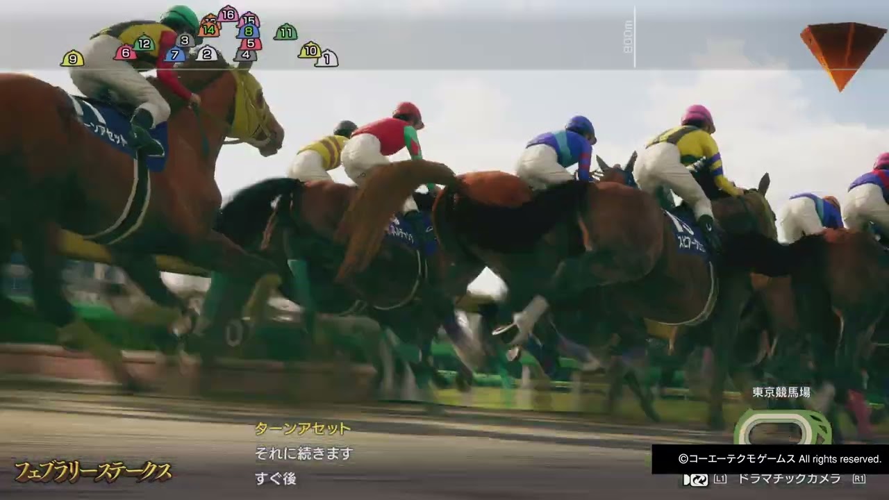 GIフェブラリーS マルセイビエルカ