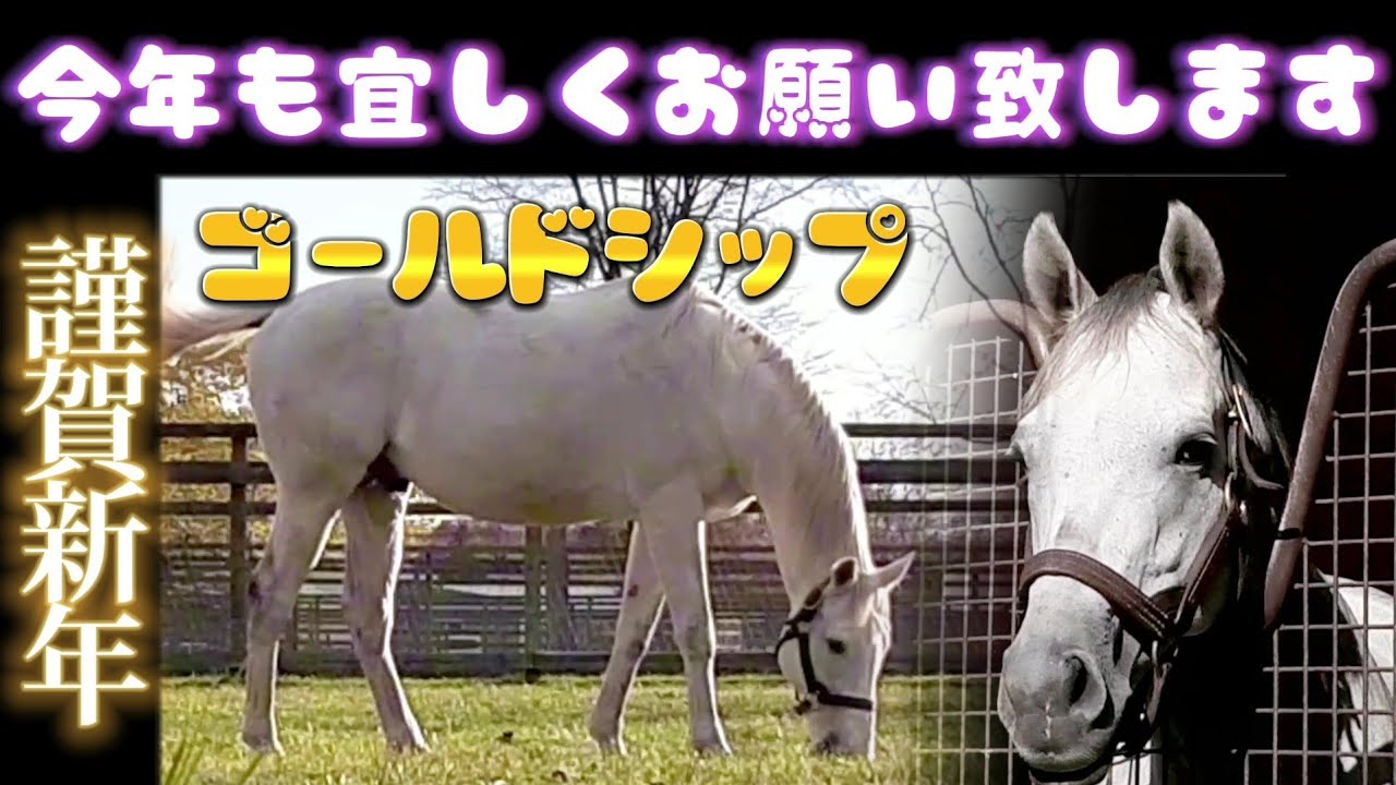 謹賀新年 ゴールドシップ & ウインブライト ビッグレッドファーム さん