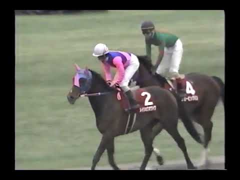 2000 大阪杯 メイショウオウドウ