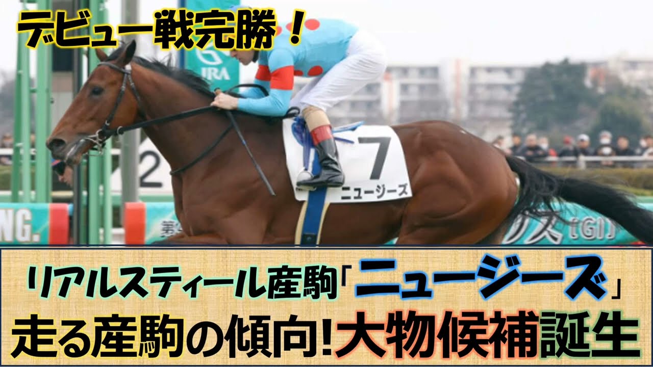 【一口馬主】今年最後の大物候補！「ニュージーズ」リアルスティール産駒の大物候補が誕生☆パターンはサンデー、キンカメ クロスを持たない事⁉