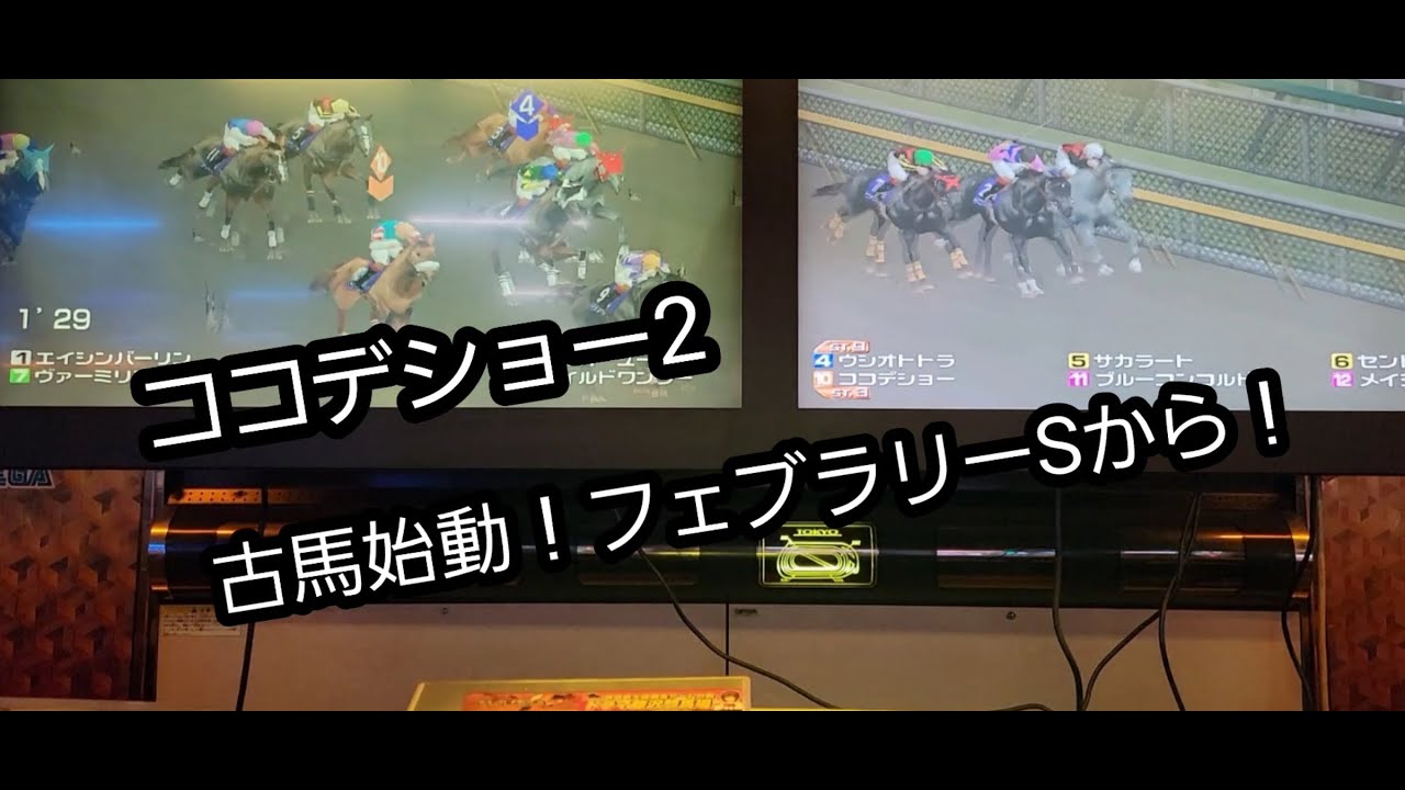 [スタホR] ココデショー2 古馬始動！フェブラリーSから！！