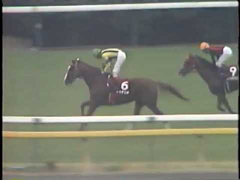 2000 毎日王冠 トゥナンテ