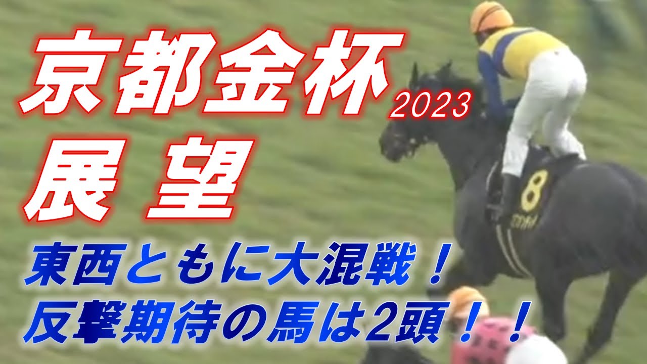 京都金杯2023　展望　西も大混戦、反撃期待の馬は2頭！！　元馬術選手のコラム by アラシ