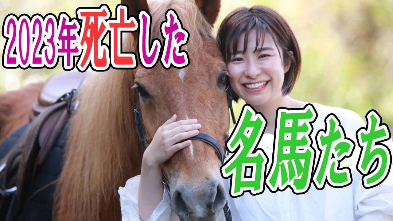 2023年　競馬ファンから愛された競走馬たちが次々と死亡