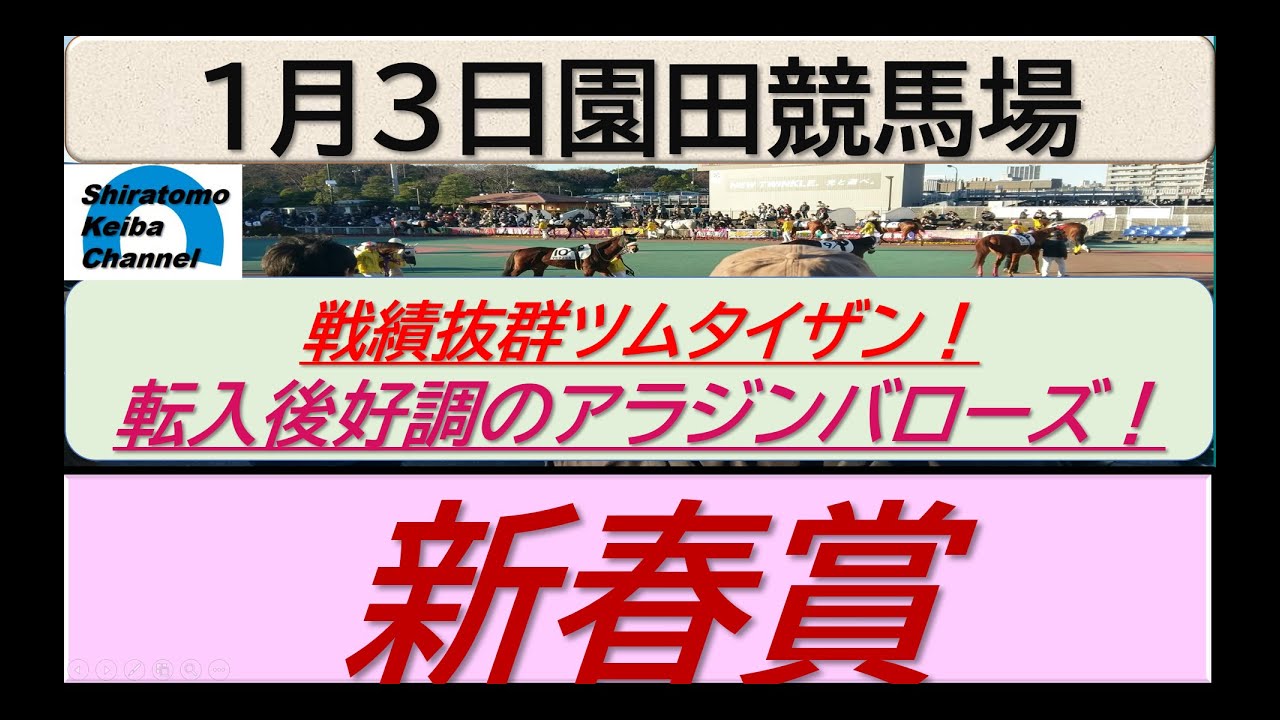 【競馬予想】重賞・新春賞！～２０２４年１月３日 園田競馬場 ：１－７