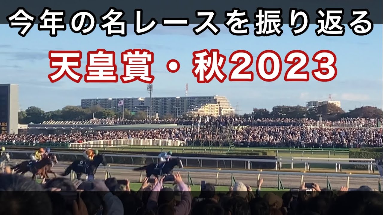 今年の名レースを振り返る。天皇賞・秋2023。 現世界一の馬イクイノックスが、世界レコード勝ちした伝説のレース。【イクイノックス】