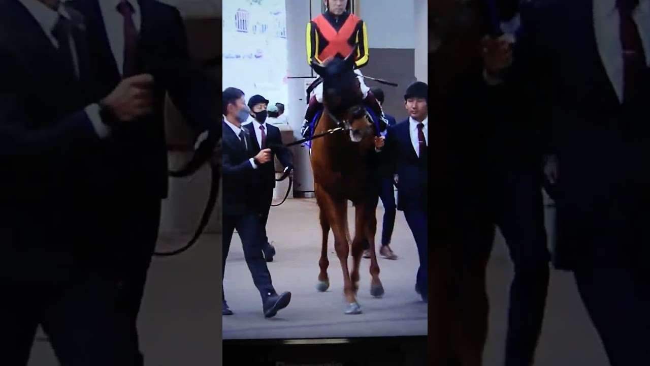 ジオグリフ@天皇賞秋2022