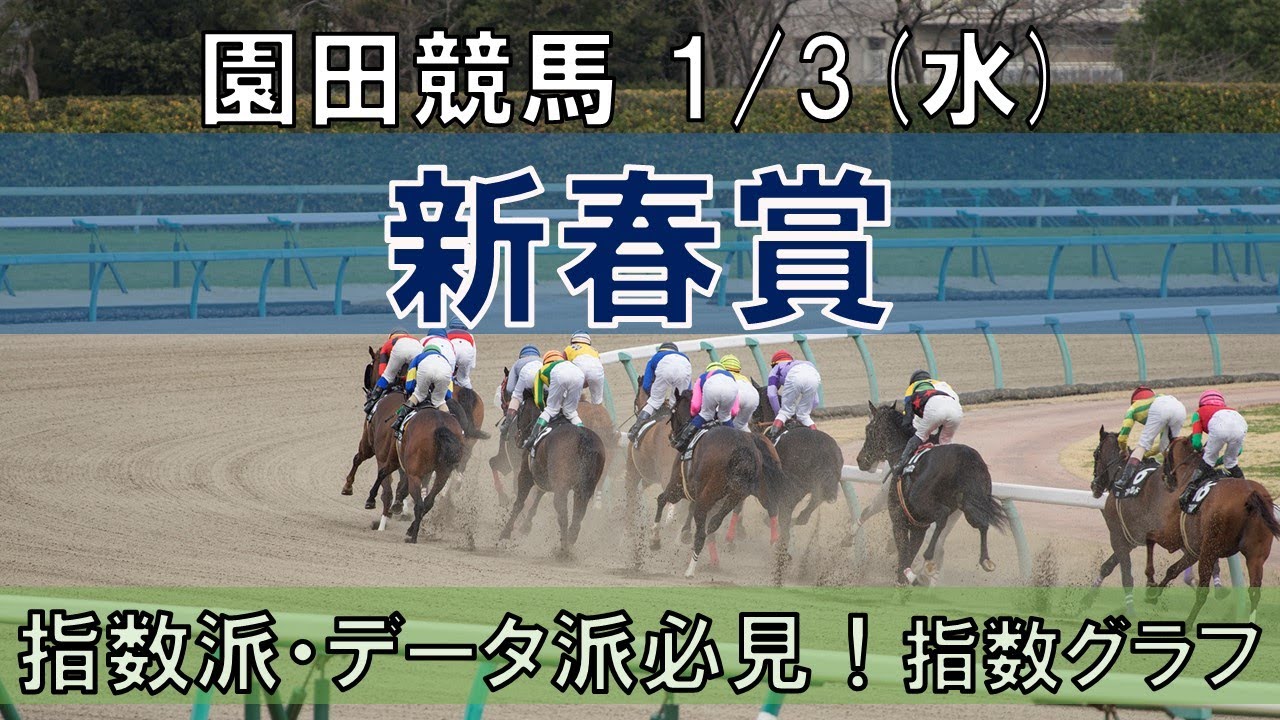 1/3(水) 園田競馬11R【新春賞】《地方競馬 指数グラフ・予想・攻略》