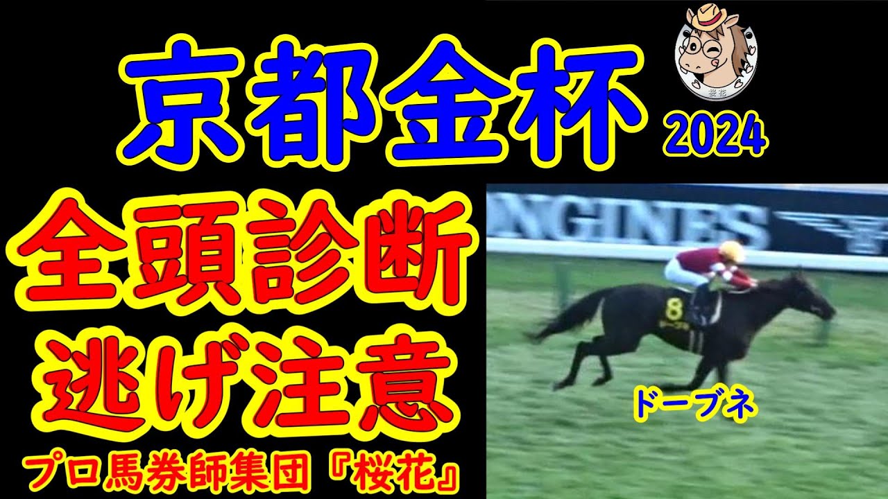 京都金杯2024一週前レース競馬予想全頭診断！西でも京都金杯が行われるが好メンバーが揃った印象がある！４年ぶりに行われる右回り京都マイル戦でどの馬が名乗り上げるか！