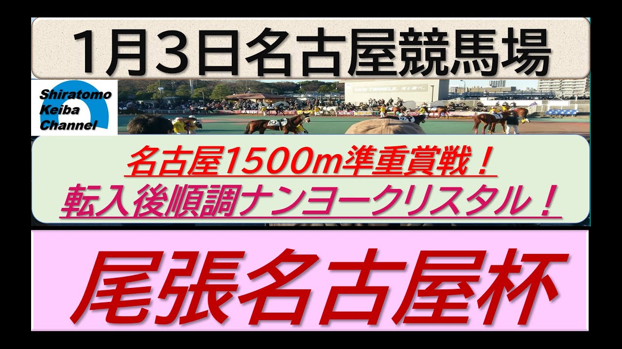 【競馬予想】準重賞・尾張名古屋杯！～２０２４年１月３日 名古屋競馬場 ：１－８