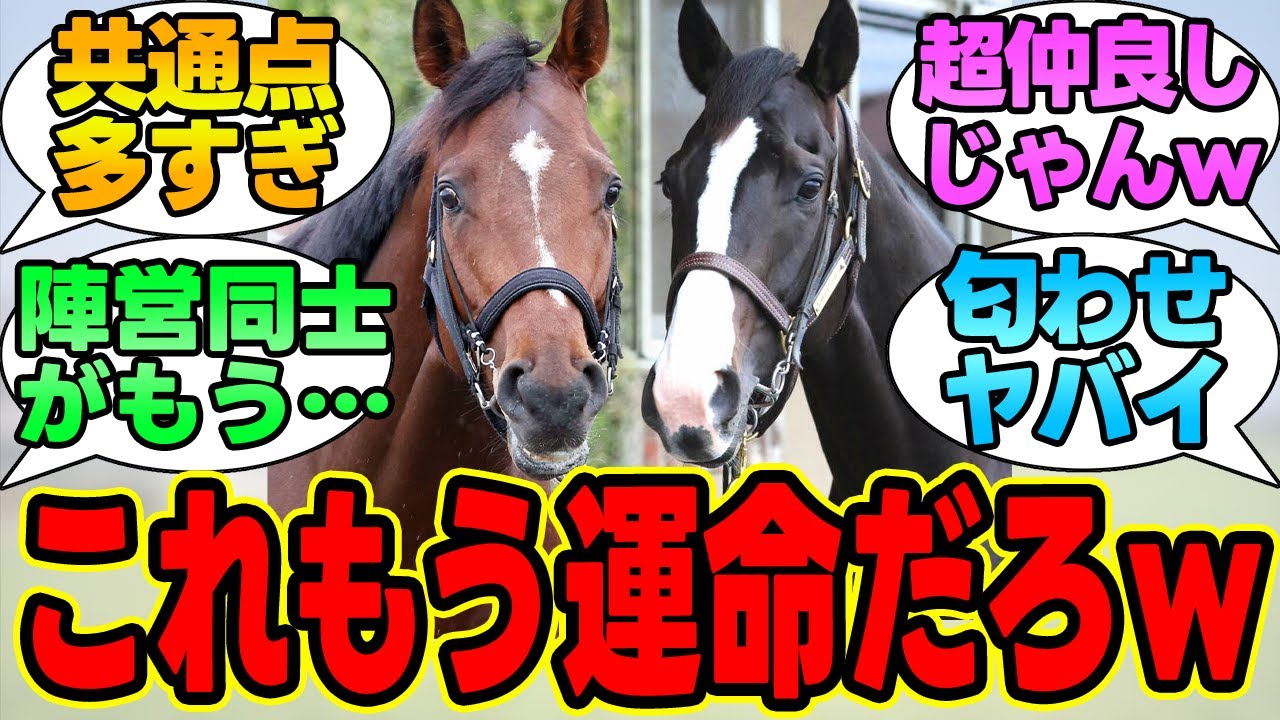 『ドウデュースとイクイノックスって仲良すぎない？』に対する競馬民の反応集