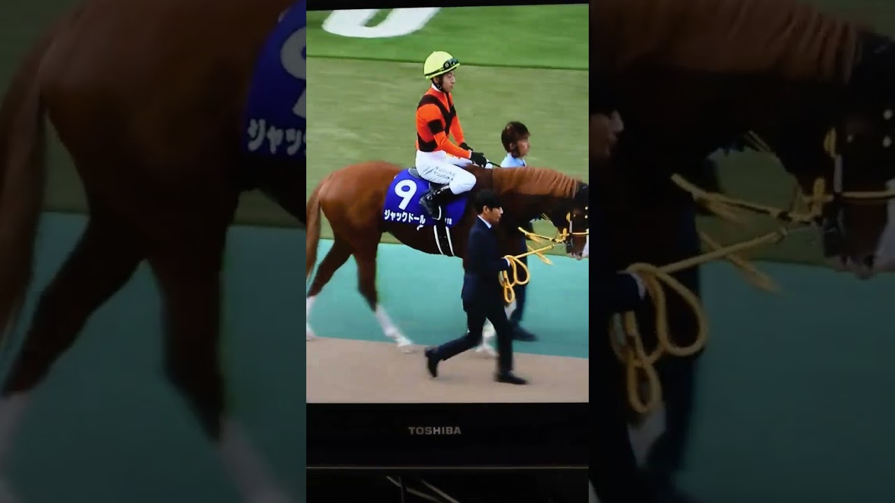 尾花栗毛のバビット&ジャックドール@天皇賞秋2022